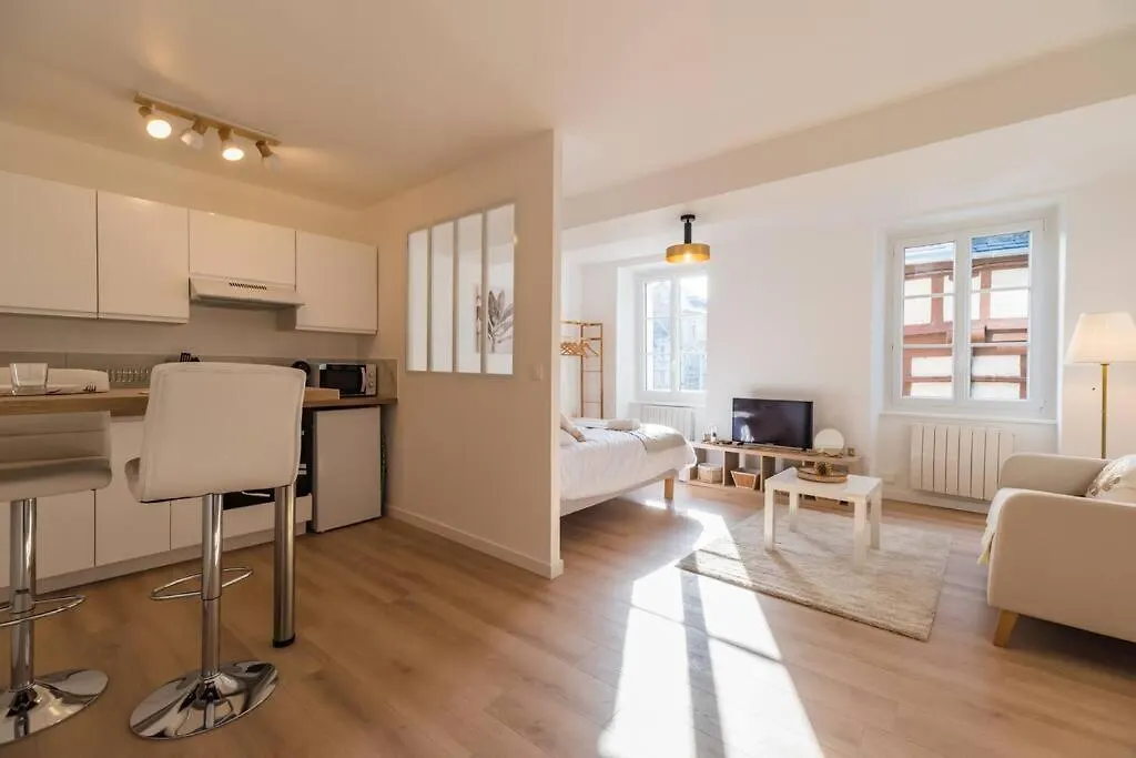 Studio Coeur De Ville - لانيون 0*,